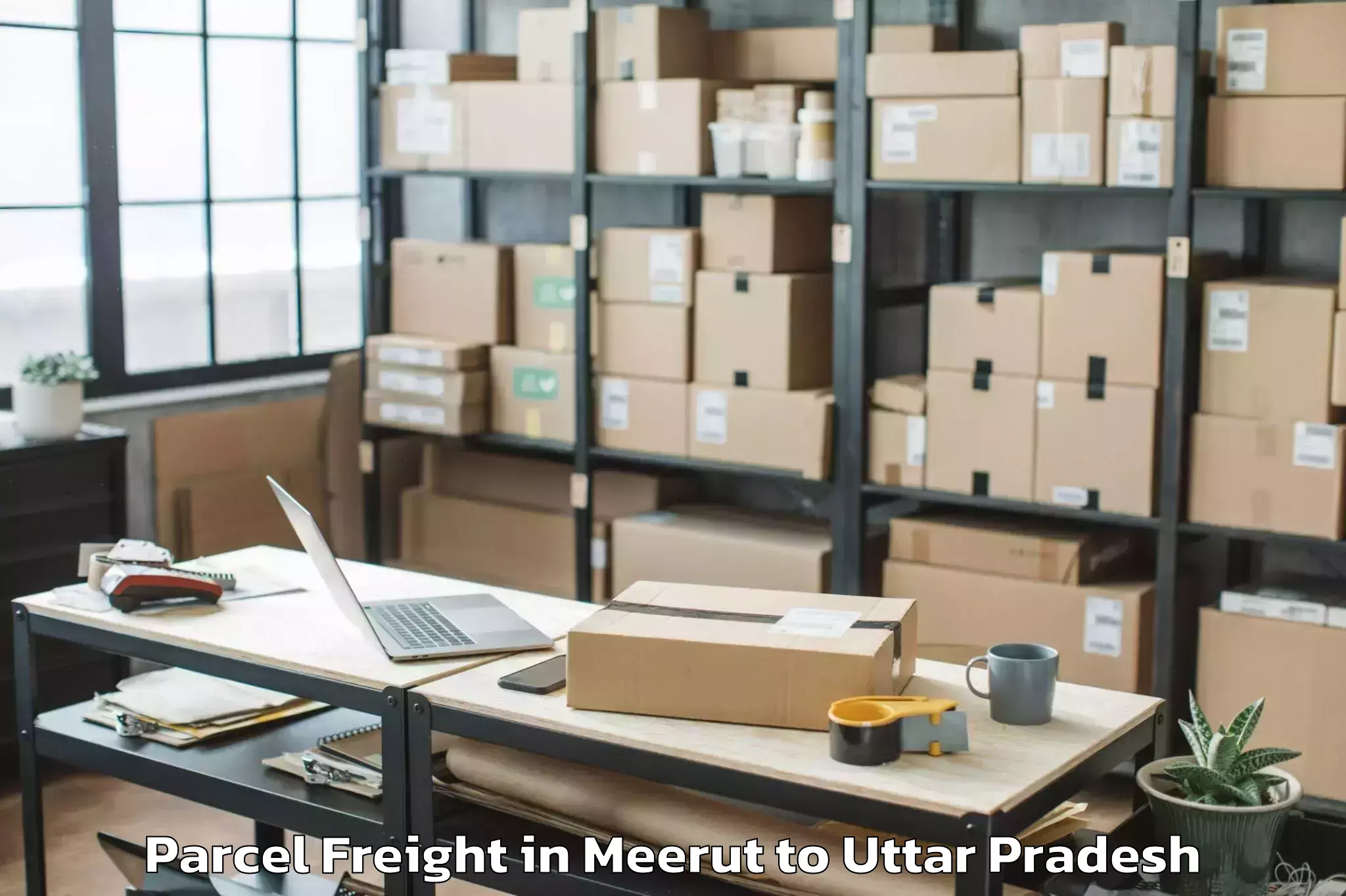 Top Meerut to Afzalgarh Parcel Freight Available